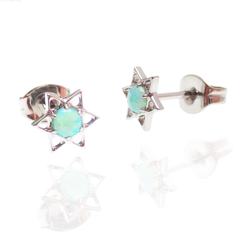 Star and Opal Titanium Earrings